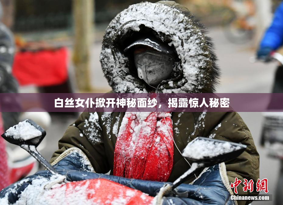 白丝女仆掀开神秘面纱，揭露惊人秘密