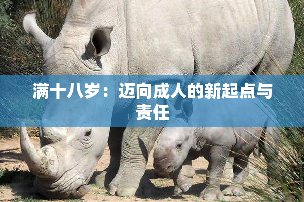 满十八岁：迈向成人的新起点与责任