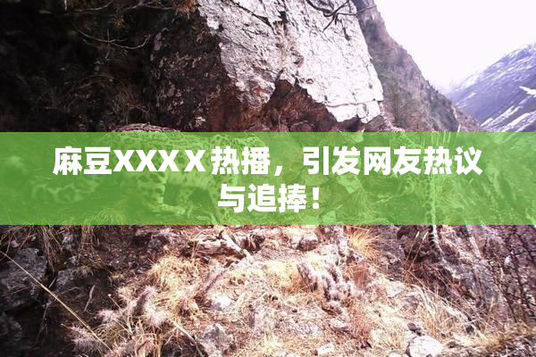 麻豆XXXⅩ热播，引发网友热议与追捧！