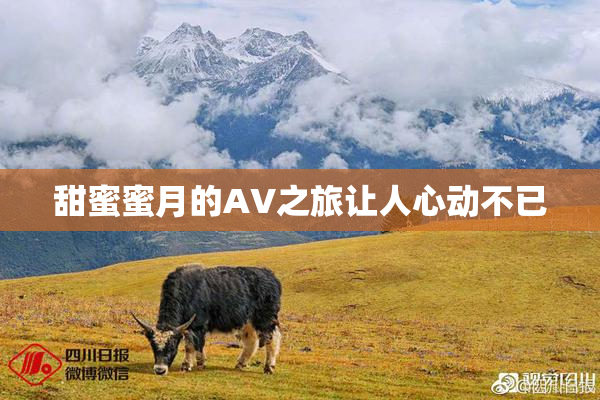 甜蜜蜜月的AV之旅让人心动不已