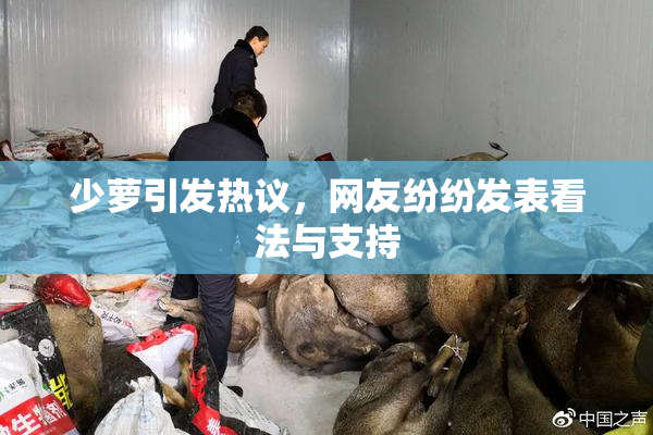 少萝引发热议，网友纷纷发表看法与支持