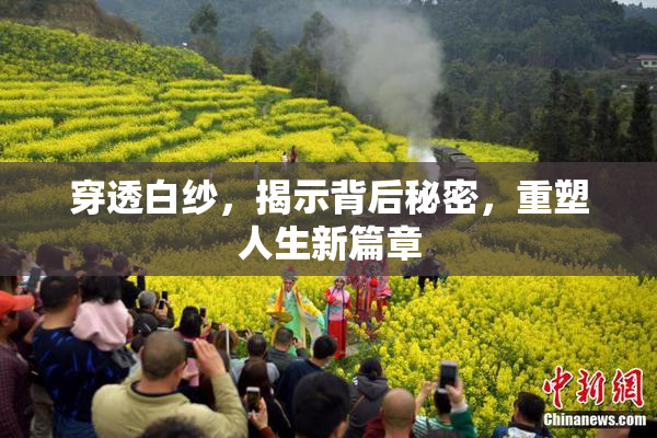 穿透白纱，揭示背后秘密，重塑人生新篇章