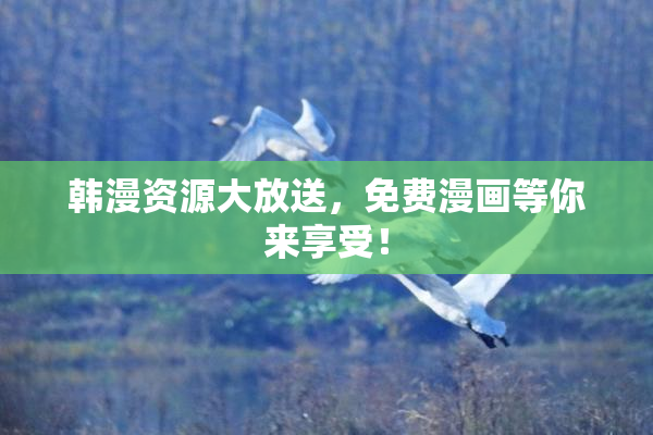 韩漫资源大放送，免费漫画等你来享受！