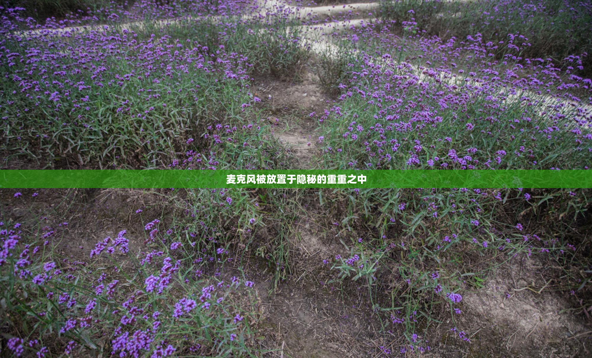 麦克风被放置于隐秘的重重之中