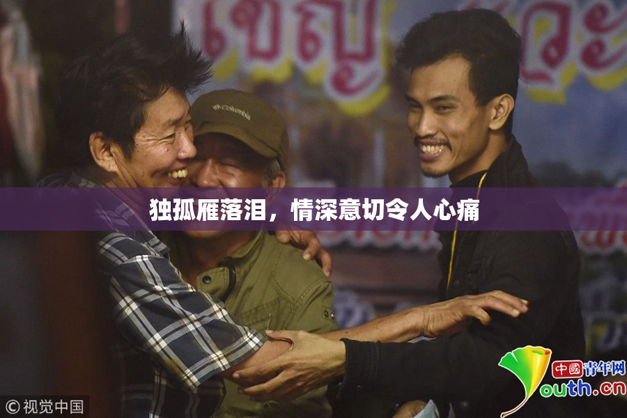 独孤雁落泪，情深意切令人心痛