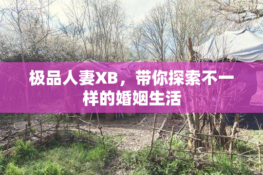 极品人妻XB，带你探索不一样的婚姻生活