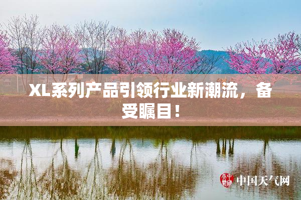 XL系列产品引领行业新潮流，备受瞩目！