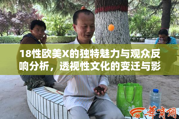 18性欧美X的独特魅力与观众反响分析，透视性文化的变迁与影响