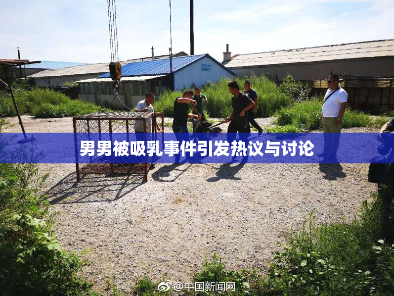 男男被吸乳事件引发热议与讨论