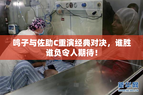 鸣子与佐助C重演经典对决，谁胜谁负令人期待！