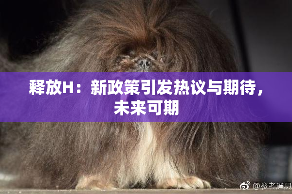 释放H：新政策引发热议与期待，未来可期