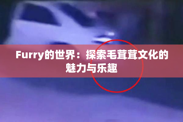 Furry的世界：探索毛茸茸文化的魅力与乐趣