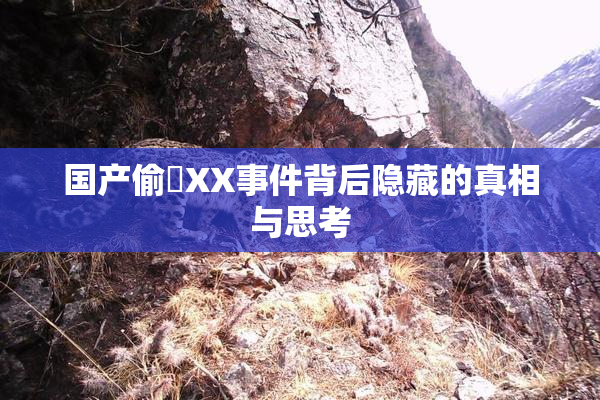 国产偷抇XX事件背后隐藏的真相与思考