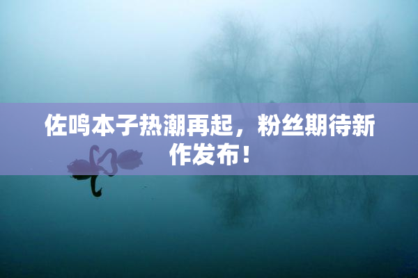 佐鸣本子热潮再起，粉丝期待新作发布！