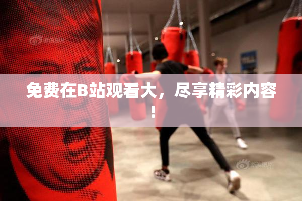 免费在B站观看大，尽享精彩内容！