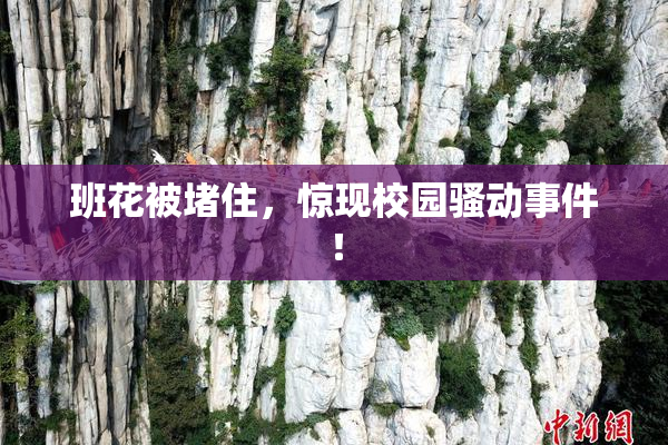 班花被堵住，惊现校园骚动事件！