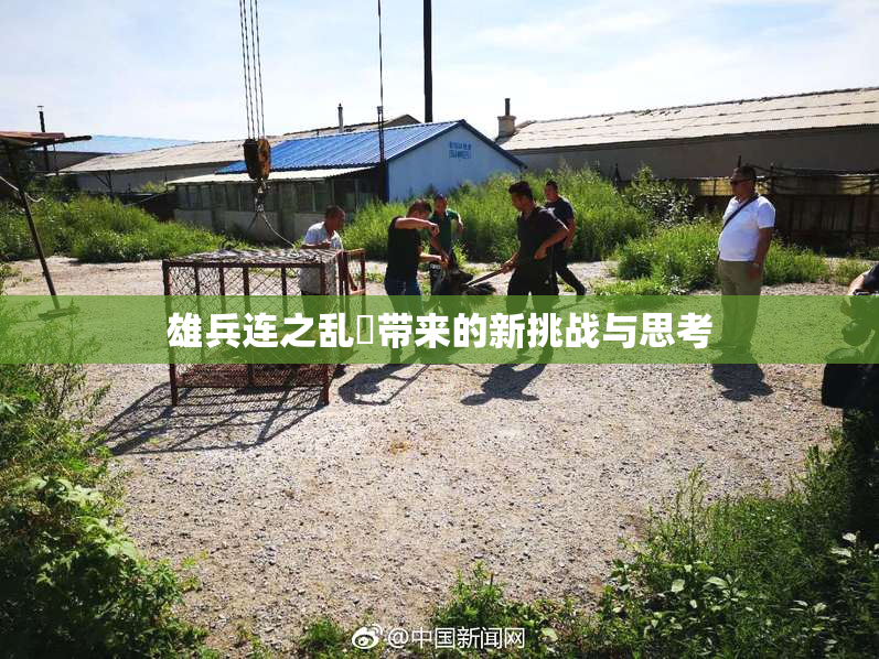 雄兵连之乱婬带来的新挑战与思考