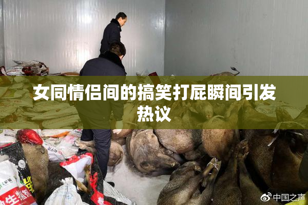 女同情侣间的搞笑打屁瞬间引发热议