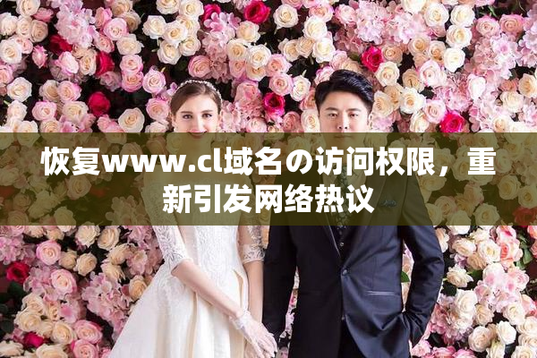 恢复www.cl域名の访问权限，重新引发网络热议