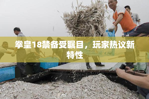 拳皇18禁备受瞩目，玩家热议新特性