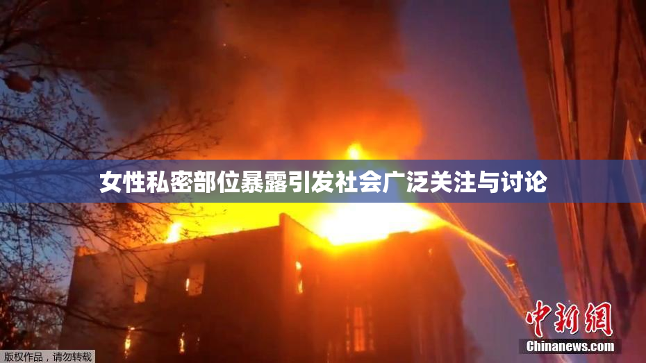 女性私密部位暴露引发社会广泛关注与讨论