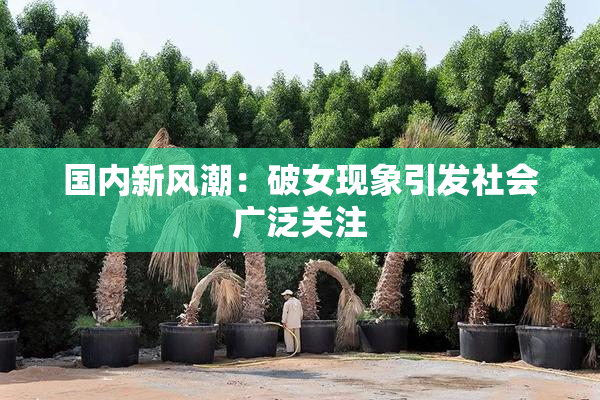 国内新风潮：破女现象引发社会广泛关注