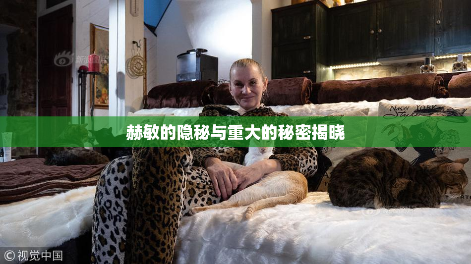 赫敏的隐秘与重大的秘密揭晓