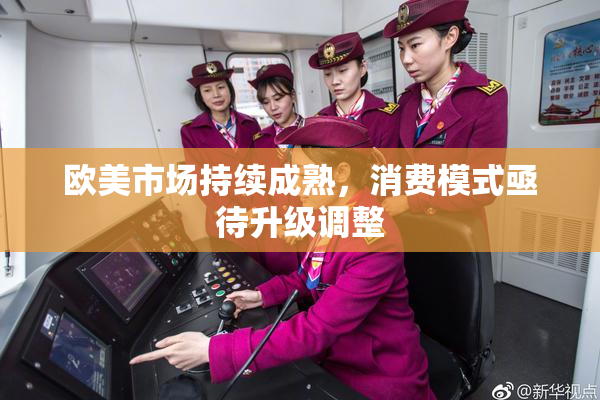 欧美市场持续成熟，消费模式亟待升级调整