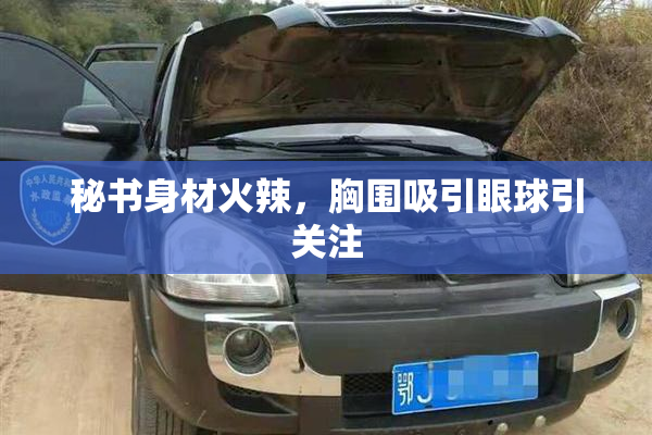 秘书身材火辣，胸围吸引眼球引关注
