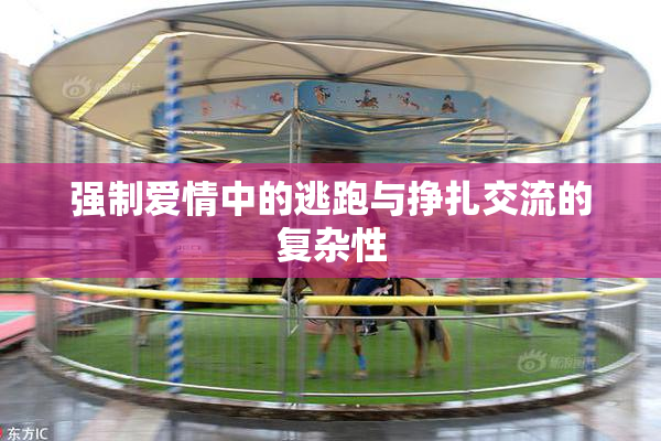 强制爱情中的逃跑与挣扎交流的复杂性