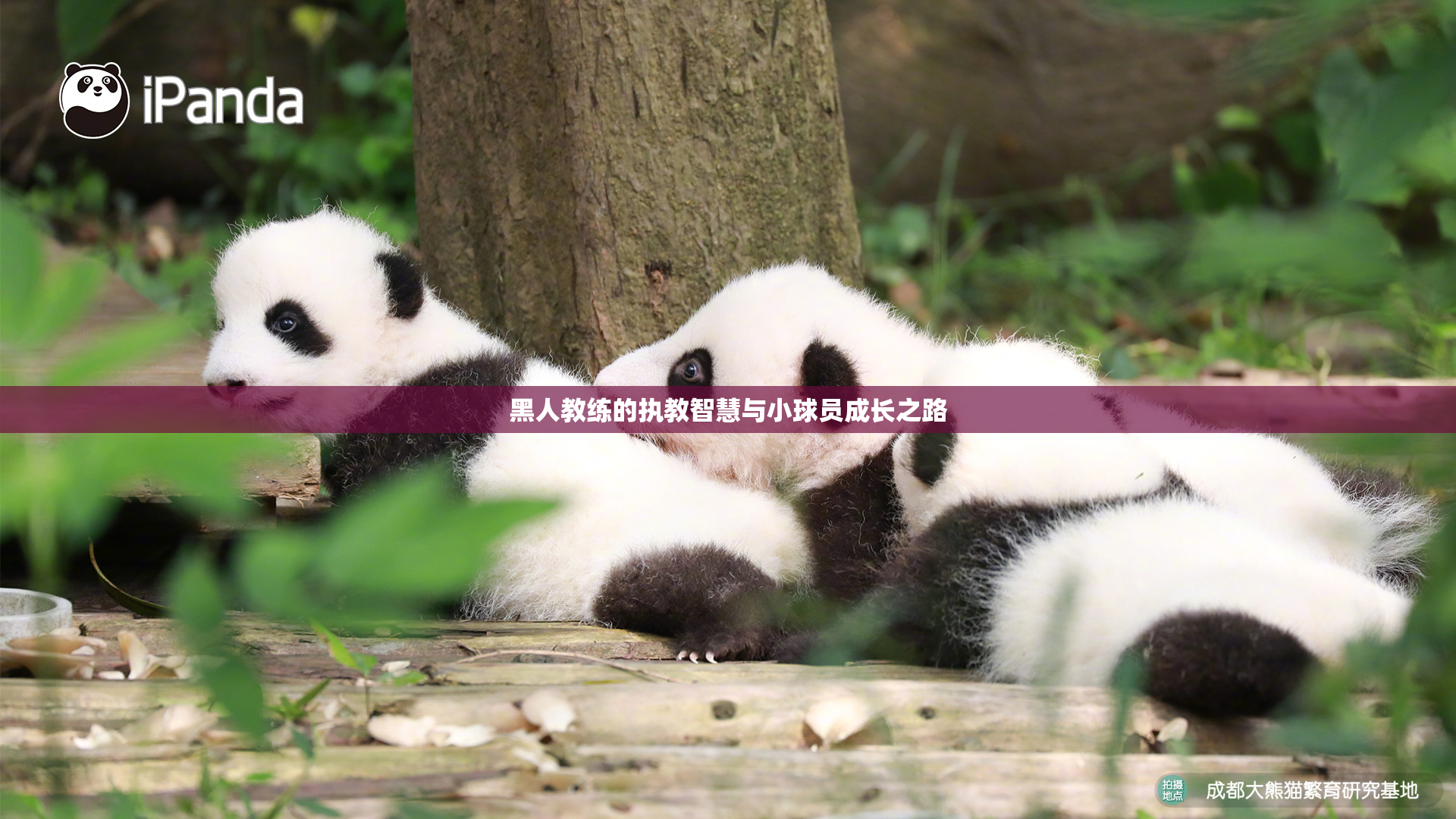 黑人教练的执教智慧与小球员成长之路