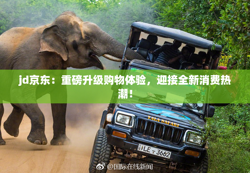 jd京东：重磅升级购物体验，迎接全新消费热潮！