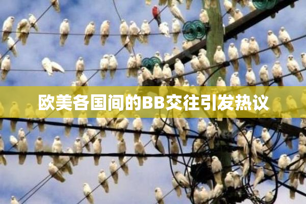 欧美各国间的BB交往引发热议