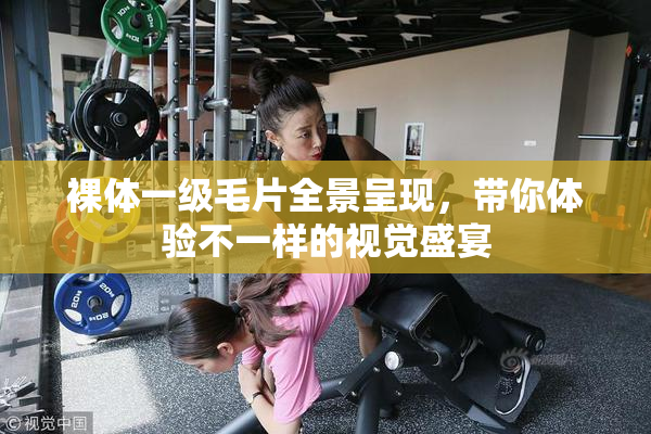 裸体一级毛片全景呈现，带你体验不一样的视觉盛宴