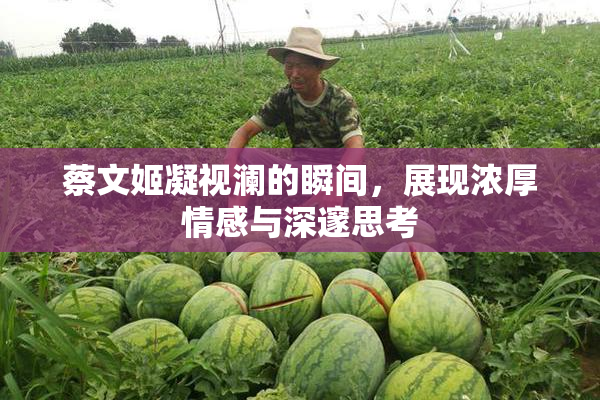 蔡文姬凝视澜的瞬间，展现浓厚情感与深邃思考