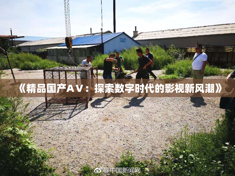 《精品国产AⅤ：探索数字时代的影视新风潮》