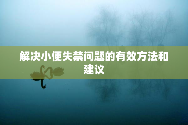 解决小便失禁问题的有效方法和建议