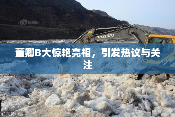 董卿B大惊艳亮相，引发热议与关注