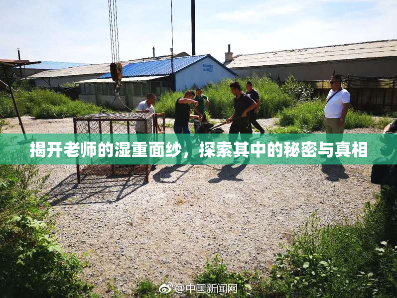 揭开老师的湿重面纱，探索其中的秘密与真相
