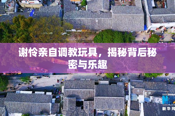 谢怜亲自调教玩具，揭秘背后秘密与乐趣