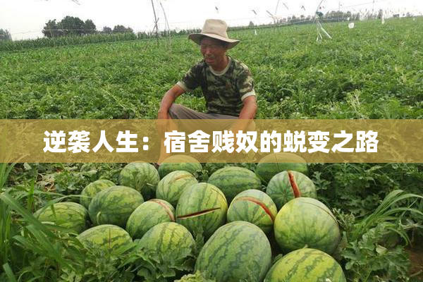 逆袭人生：宿舍贱奴的蜕变之路