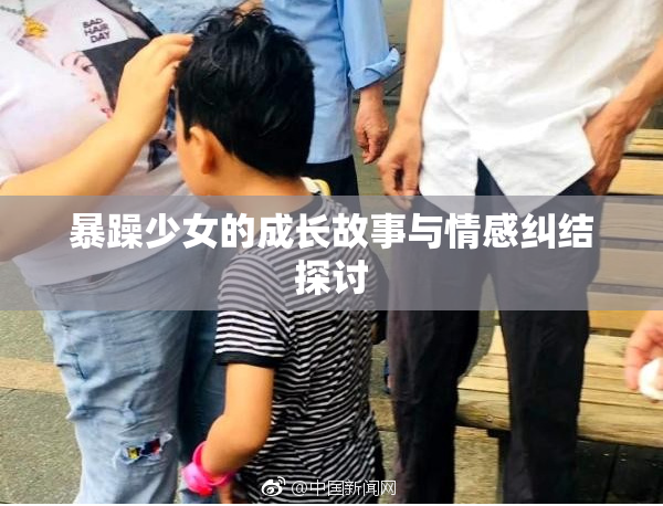 暴躁少女的成长故事与情感纠结探讨