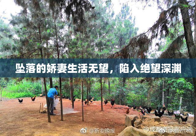 坠落的娇妻生活无望，陷入绝望深渊