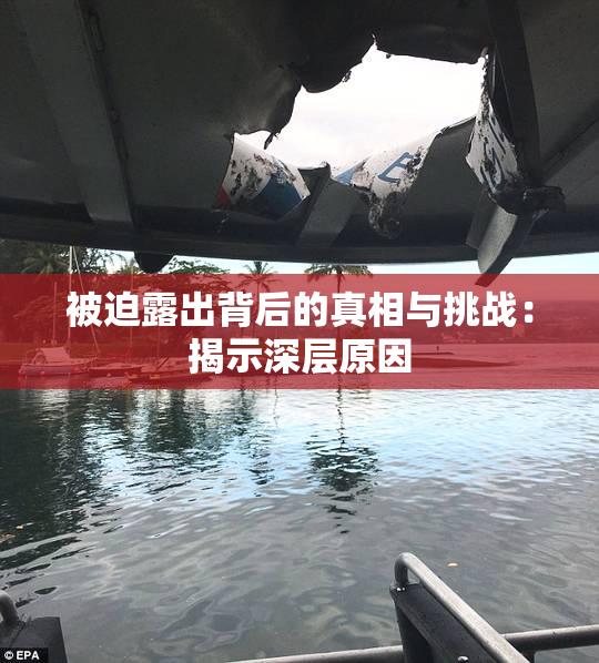 被迫露出背后的真相与挑战：揭示深层原因