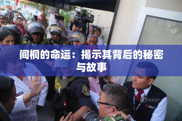间桐的命运：揭示其背后的秘密与故事