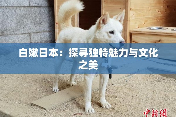白嫩日本：探寻独特魅力与文化之美