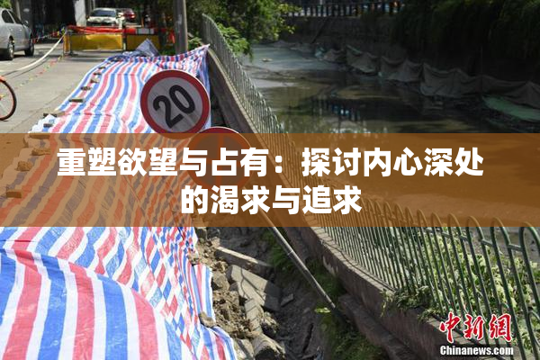 重塑欲望与占有：探讨内心深处的渴求与追求