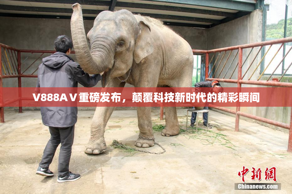 V888AⅤ重磅发布，颠覆科技新时代的精彩瞬间