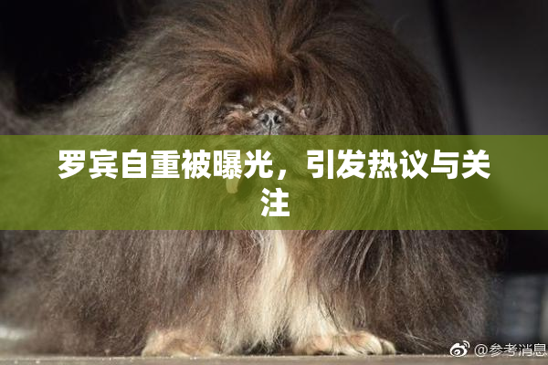罗宾自重被曝光，引发热议与关注