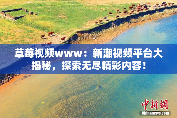 草莓视频www：新潮视频平台大揭秘，探索无尽精彩内容！